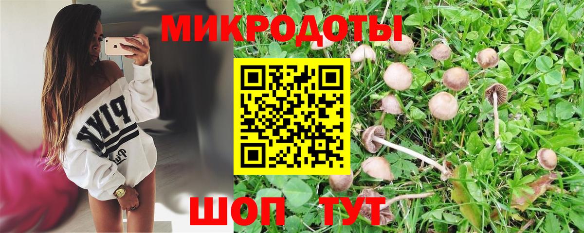 Псилоцибиновые грибы GOLDEN TEACHER Бугуруслан