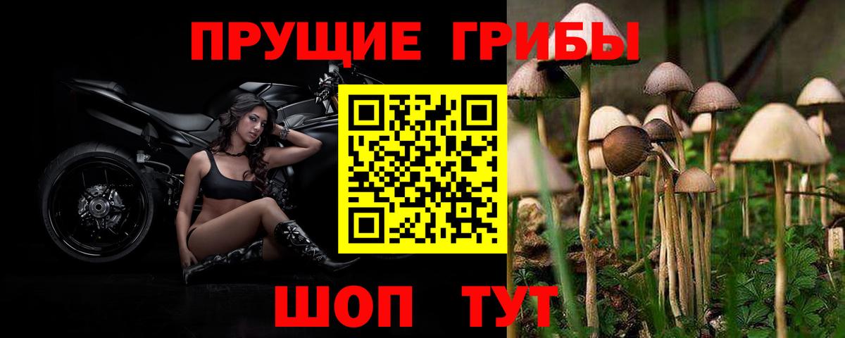 Галлюциногенные грибы мухоморы  Вход с VPN  где можно купить наркотик  Бугуруслан 